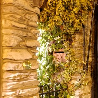 Owl Image